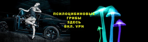 спиды Приозерск