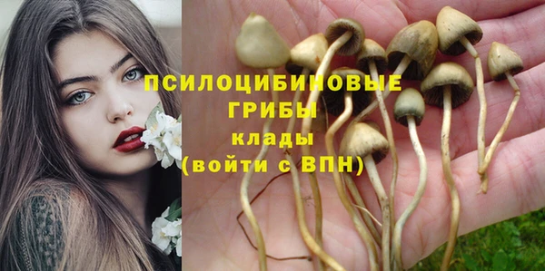 амфетамин Покачи
