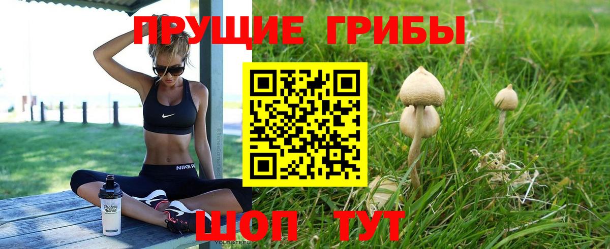купить  цена  Галлюциногенные грибы MAGIC MUSHROOMS  Вход с VPN  Сегежа  Псилоцибиновые грибы Magic Shrooms 
